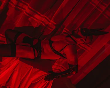 castle_87 BUNNY ON THE LOOKOUT!!! Foto 6