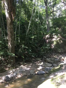 andy_dwels777 Great day of walking through the mountains of Colombia Poză 3