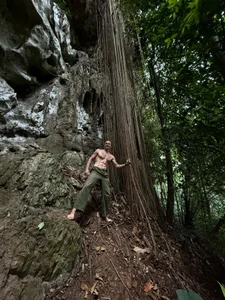 heilgarbest Rainforest Poză