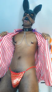 mrjhon26のSexy rabbitの 8枚の写真