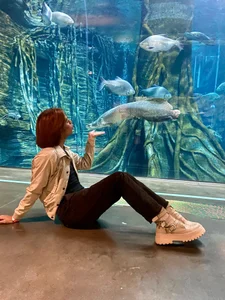 imgerver immersing myself in the calm and beauty of the aquarium Foto 3