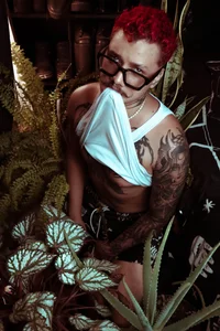 allanhurtss NATURE Pic 2