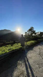 jiujiteiro36Publico Bild 3