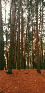 DanyNova_Co 📷🌍| Where I’ve Been… Caught in Magic Moments & Places|🌍📷 Foto 6