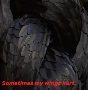 ExquisiteMature shadow work Hình 2