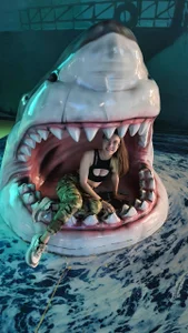 WilleneBasques Public Bilde 5