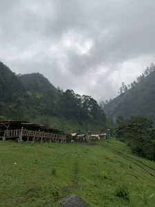 Zdjęcia AlanNaughty Peace: 