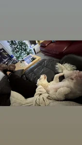 Scarlett-Dream My Best Friend Pic 4