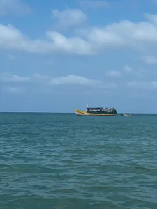 feed photo de Xara_Shadow  3 Imagens