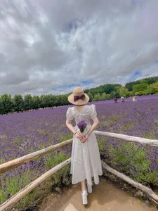 Dona020 日本の美しい景色 사진 6