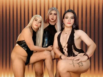 Playful_Top_Shemale THE CRUEL MISTRESSES - {count, plural, one {תמונה אחת} two {שתי תמונות} many {# תמונות} other {# תמונות}}