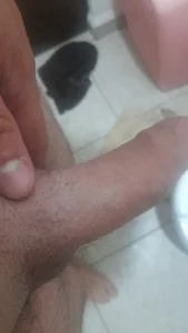 Pepesan35 Public Billede