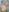 Su_Duarte_1's photo