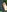 MagnoliaVS's photo