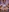 -ethan7inches-'s photo