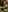 Ellieee_'s photo