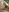 henes188's photo