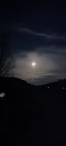 schmidtler35 Public Pic 4