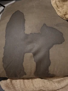 cplcokins34のSquirt de Rorschachの 2枚の写真