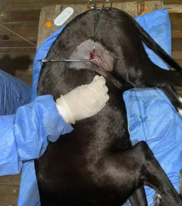 Babba_yagga a beautiful and brave angel!! Pic 8