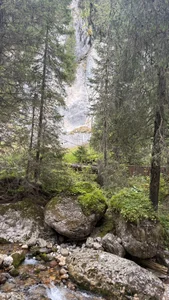 TheMaddisonShow_ 🌲🪨🍃 Pic 7