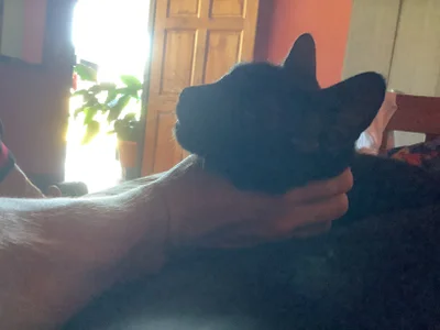 Nooneisthis Public зображення