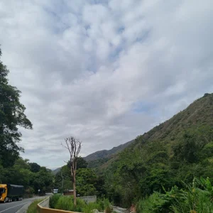 AMELIELEONE My favorite hobby Pic 3