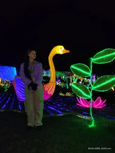 Sofi_cutiee I went to see lights and I want to share it with you 🌸🌲 Pic 2