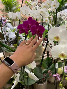 Paytonferrara kullanıcısının Art in the little things albümü -  5 fotoğraf