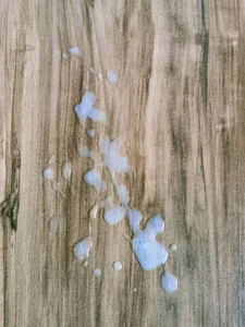 Extreme_Sadistic_and_Exhi Public Pic 4