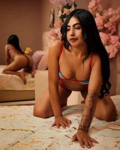 Miaa_Harper_ Public Immagine 