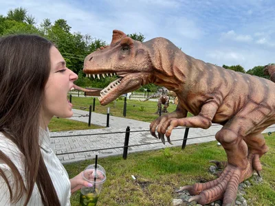 JessicaJewells 🦖🦖🦖 Immagine  3