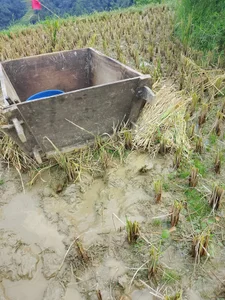 Zdjęcia MayLove_22 Công việc nông dân: 