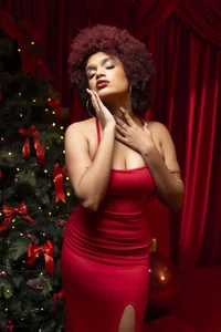 Navidad 2025🎄 de loladupont  4 photos