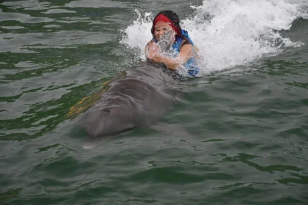 CUTE 🐬 de letty_straus  3 Imagens