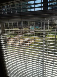 ThaBundaa Public 圖片 4