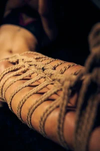 Iam_Lyan_のshibariの 5枚の写真