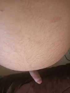 pedritolobito Guatita Foto