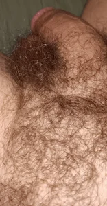 Aluntrus@xh Public Foto 6