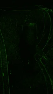 mrPopsicle007 Public টি ছবি