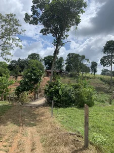 TavoHot_ GUAVIARE  3 снимка
