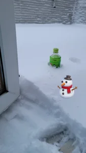 kuma_nomi Public 사진 6