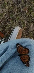 ElissaFox_'s my pasions Sex Photo 8