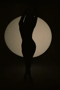 gaby_smit__ silhouettes Pic 4