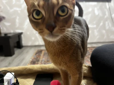 luzdelana My life Bilde 5