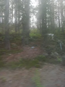 Public od MrMisHorny69  snímek