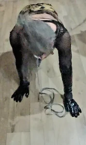 DiamondDrillBit Av-av Poză 3