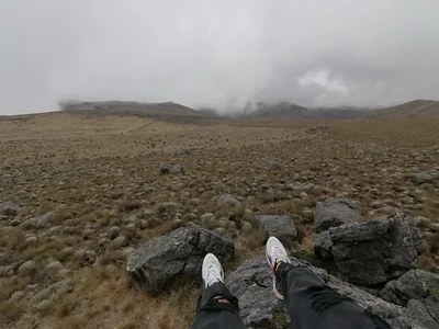 DmitriSanders: nature ( 5 фото)