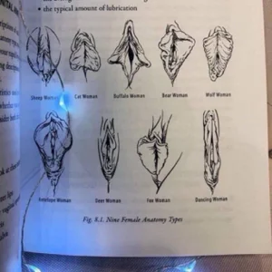 emlana Types of pussies.What kind of pussy do I have? Εικόνα