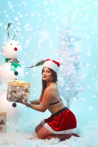 allisson_mのMerry Christmas 🎄🎁の枚の写真